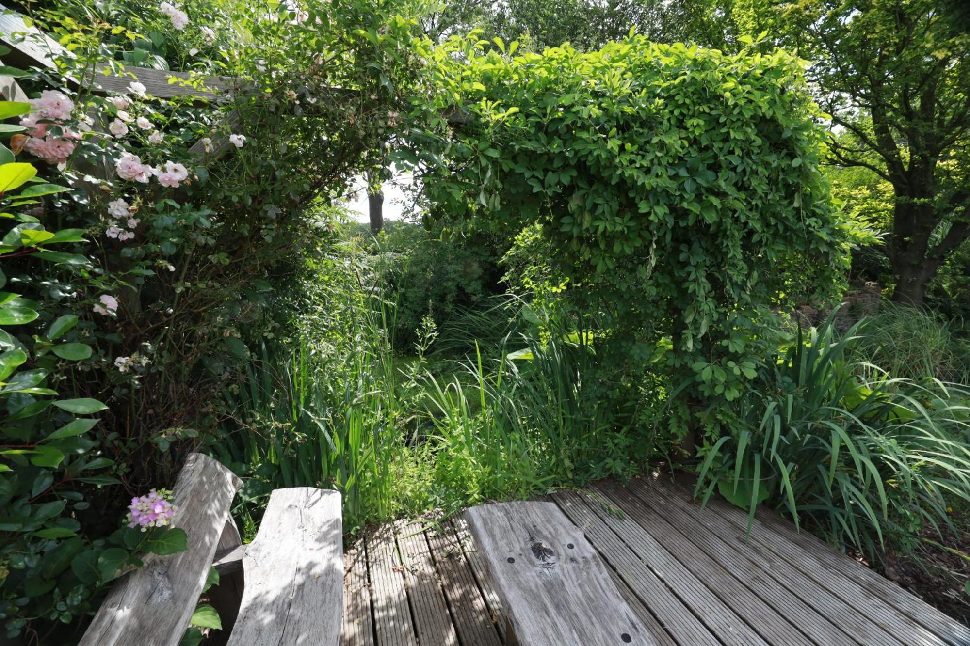 Wellnessappartement 'T Wechtertje Wijhe エクステリア 写真